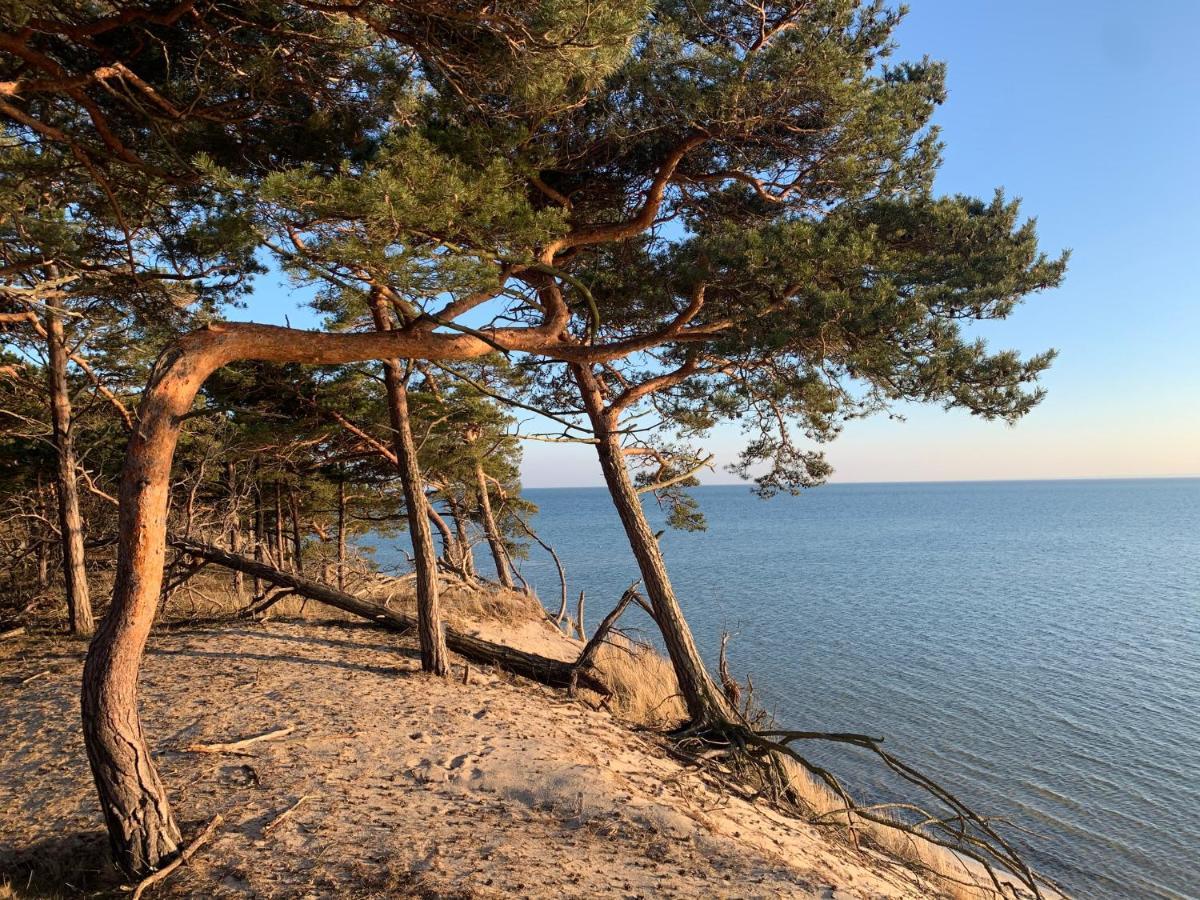 Pokoje - Camping Na Klifie Village - Hel Helska 11 Eksteriør billede